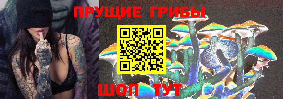 дарнет шоп  Вход с VPN  Россия  Псилоцибиновые грибы Cubensis 